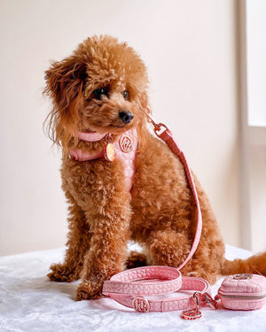 Novalie Kiss Step In Dog Harness