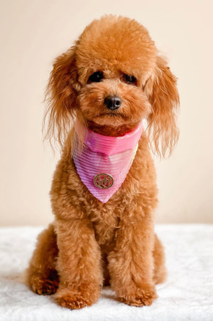 Birds Of Paradise Scarf