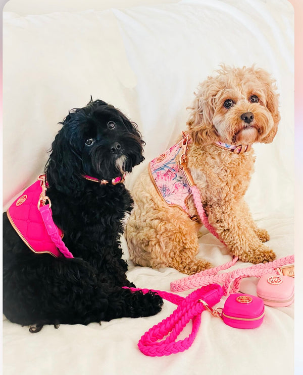 “绛穑”系列宠物狗背带