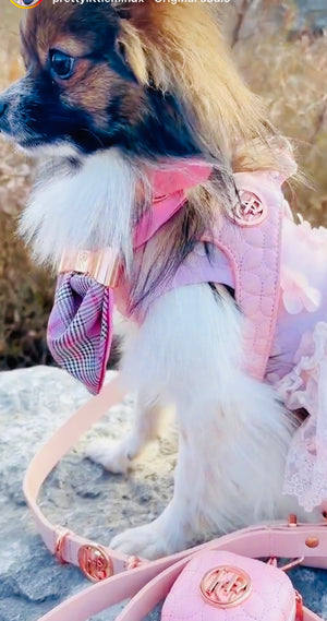 Novalie Kiss Step In Dog Harness