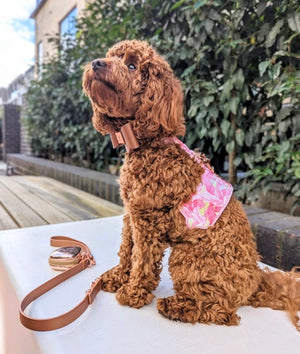 Birds Of A Feather Dog Harness