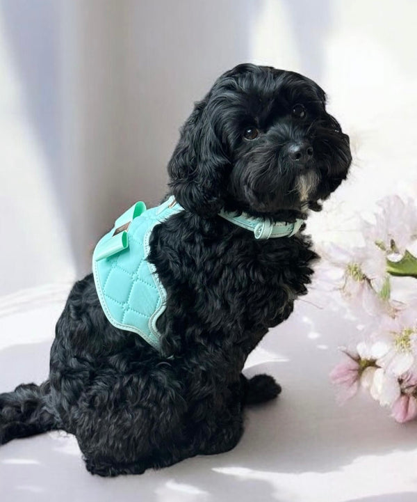Miss Aquamarine Dog Harness