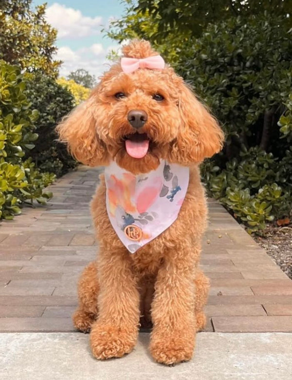 Blooming Pastels Scarf