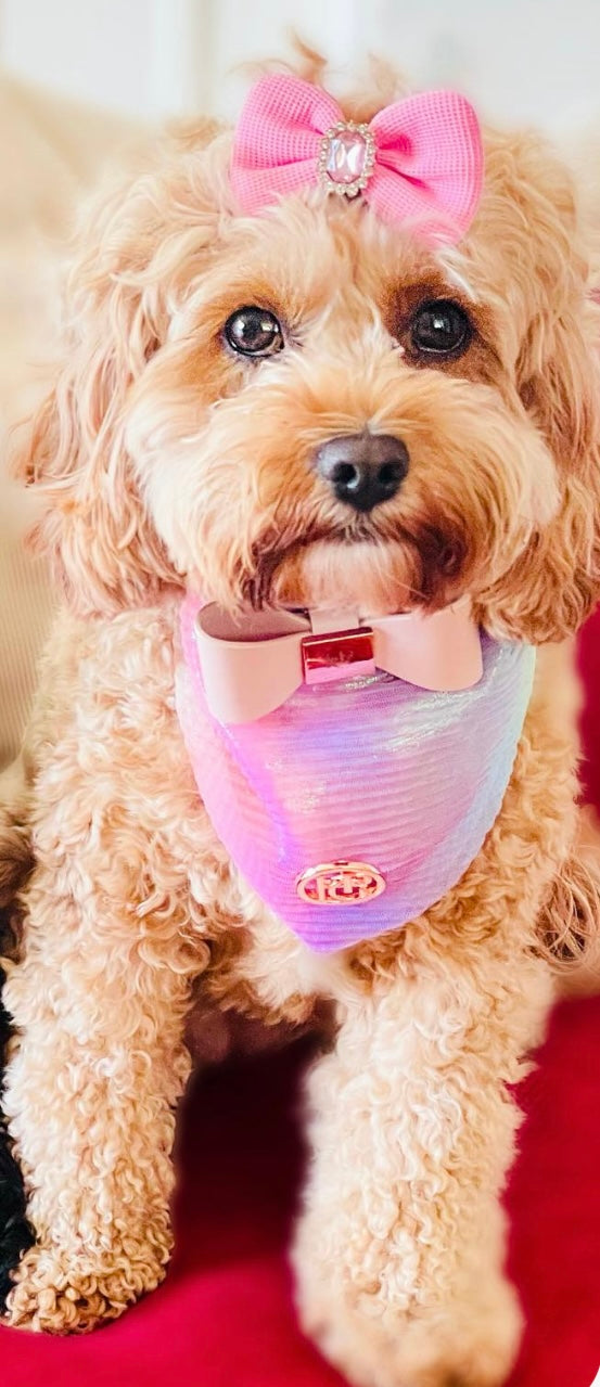 Birds Of Paradise Scarf