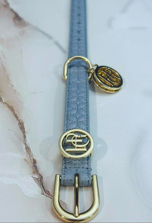 Novalie Mist Dog Collar