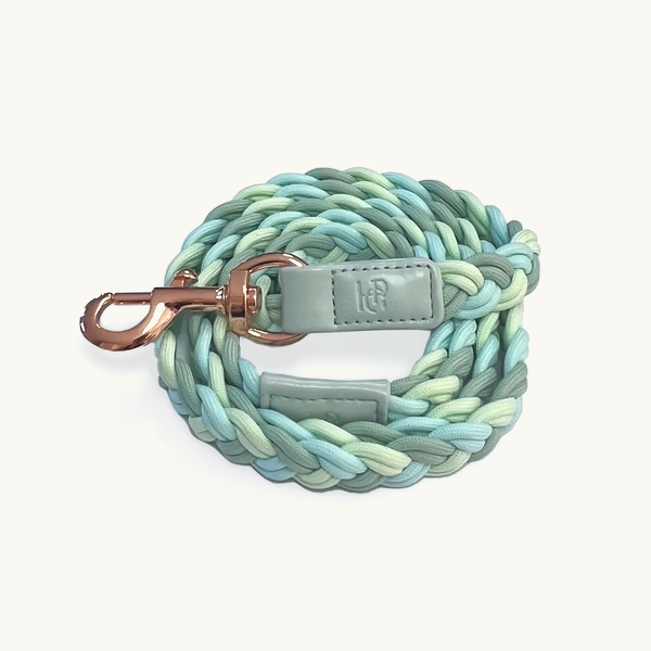 Aquamarine blue and green braided dog leash with rose gold clasp
