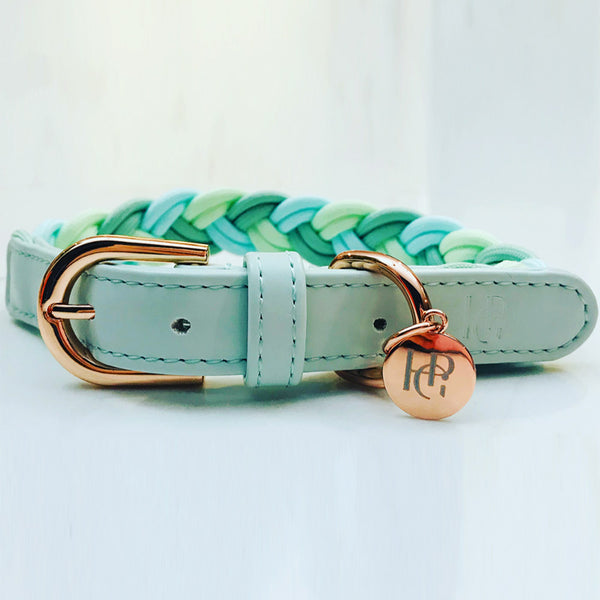 Aquamarine braided dog collar with rose gold hardware and tag on a light gray background