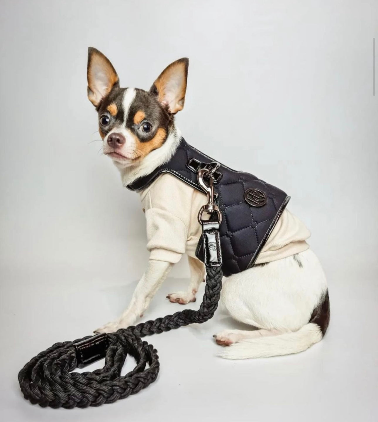 Raven Dog Harness - Main Image