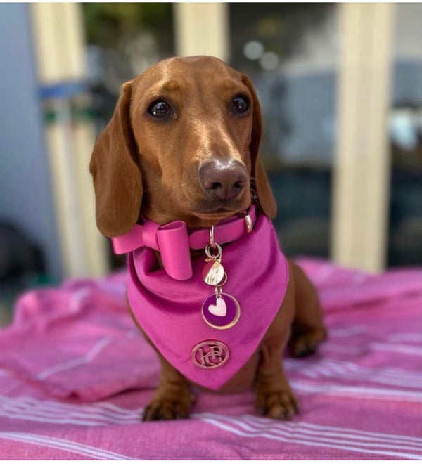 Lipstick Leather Bow Dog Collar