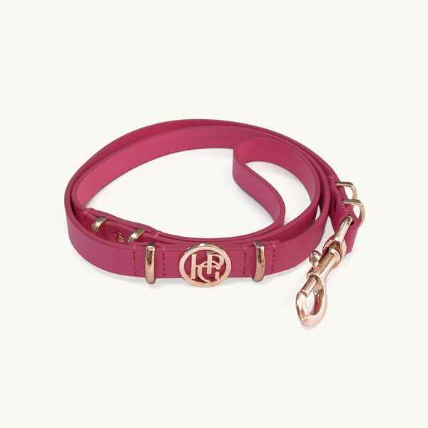 Pink leather dog leash with gold hardware