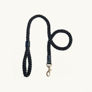 Midnight Black braided dog leash with gold clasp