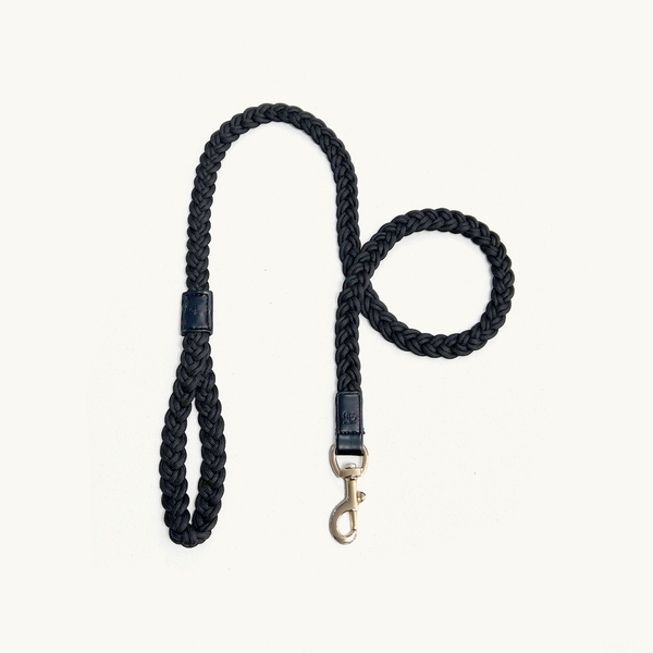 Midnight Black braided dog leash with gold clasp