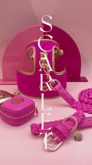 “绛穑”系列宠物狗背带