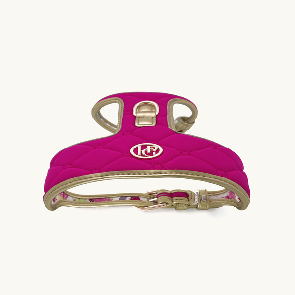 Scarlet Pink harness with gold accents
