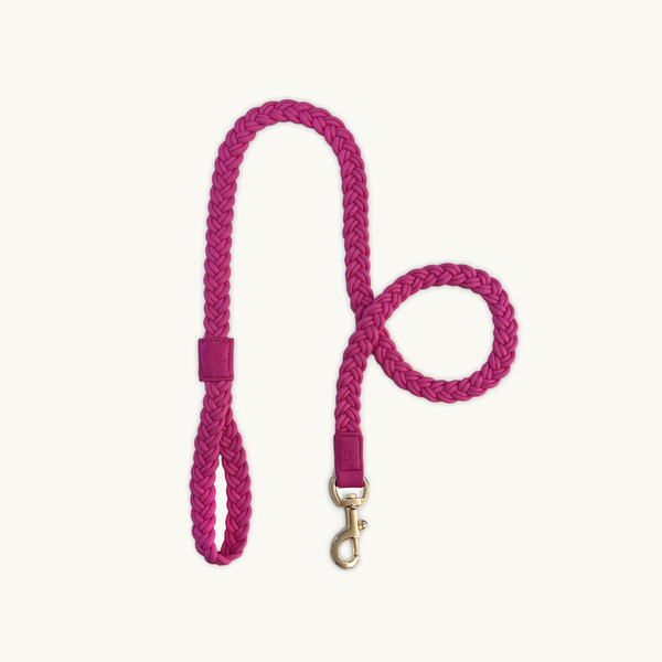 Scarlet Pink braided dog leash with a gold clasp