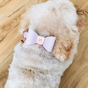Blush Leather Bow Dog Collar