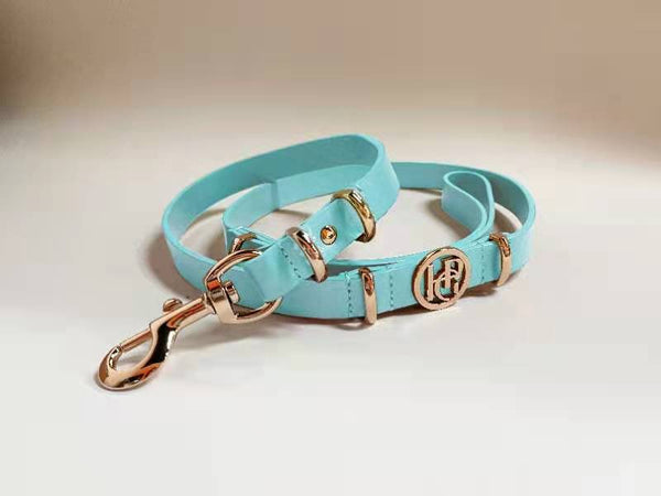 Aquamarine Leather Dog Lead