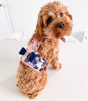 繁花系列宠物狗背带