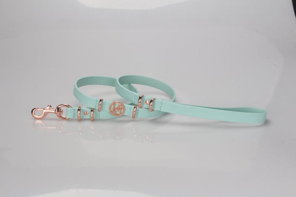 Aquamarine Leather Dog Lead