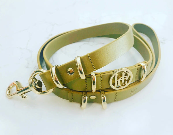 Champagne Leather Dog Lead