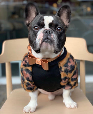 Cinnamon Leather Bow Dog Collar