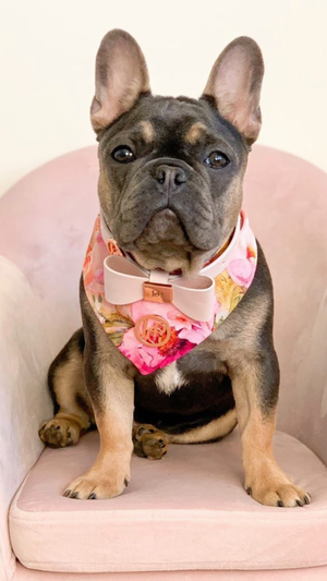 Blush Leather Bow Dog Collar