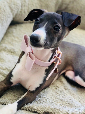 Blush Leather Bow Dog Collar