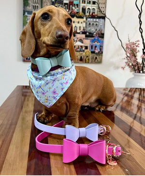 Aquamarine Leather Bow Dog Collar