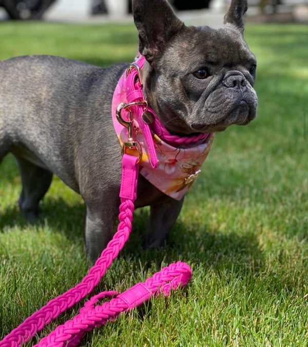 Lipstick Pink Plaited Dog Lead