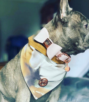 Blush Leather Bow Dog Collar