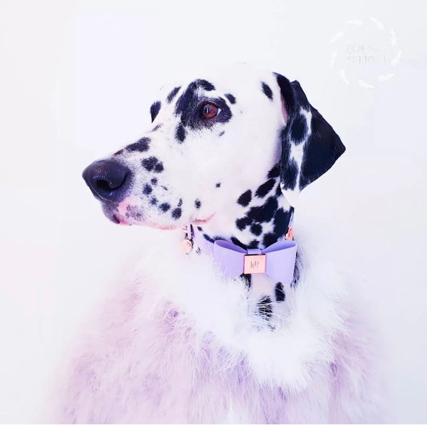 Lilac Leather Bow Dog Collar