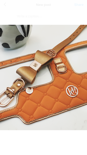 Cinnamon Dog Harness