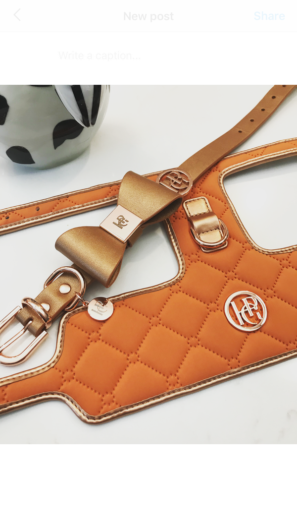 Cinnamon Dog Harness