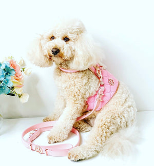 Peony Dog Harness