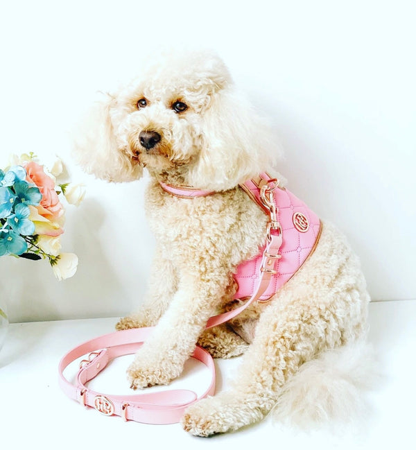 Peony Dog Harness