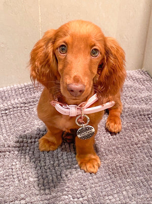 Baby Pink Plaited Dog Collar