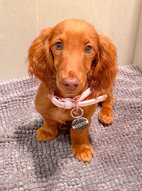 Baby Pink Plaited Dog Collar