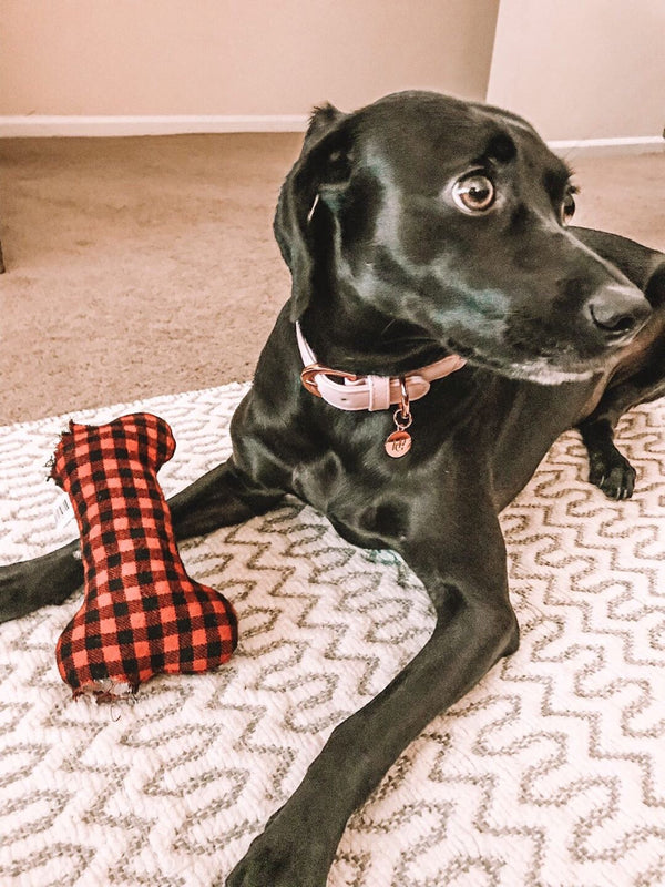 Baby Pink Plaited Dog Collar
