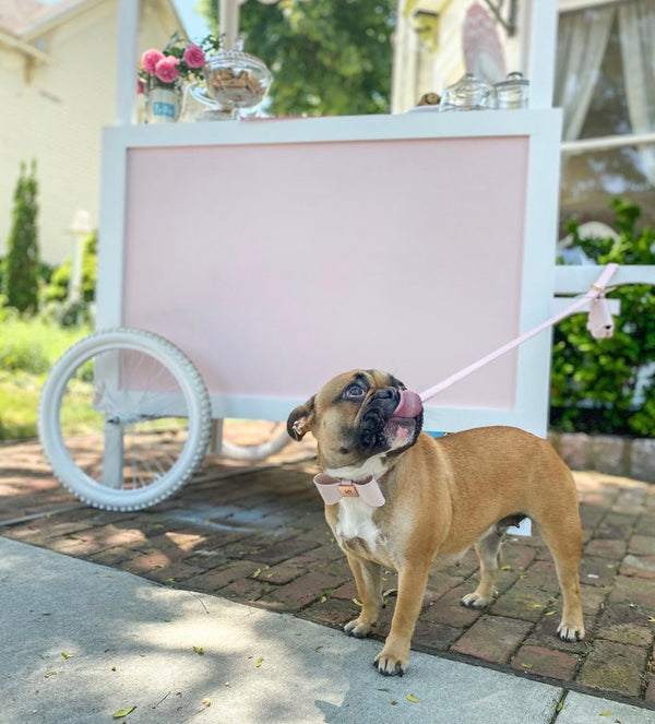 Blush Leather Bow Dog Collar