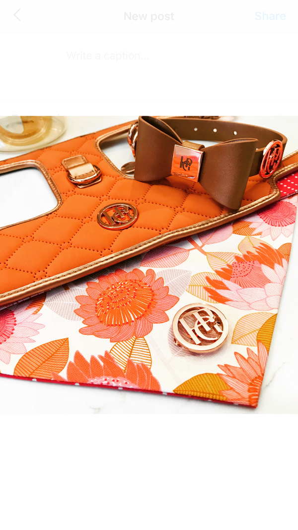 Cinnamon Dog Harness