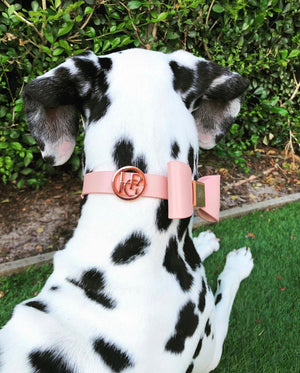 At Dusk Leather Bow Dog Collar