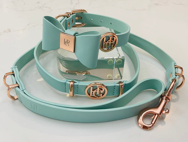 Aquamarine Leather Bow Dog Collar