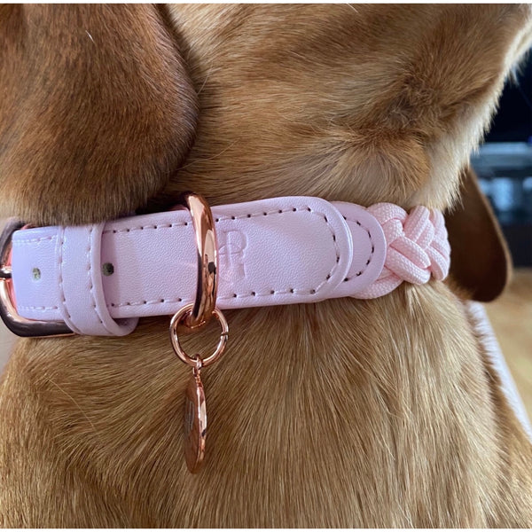 Baby Pink Plaited Dog Collar