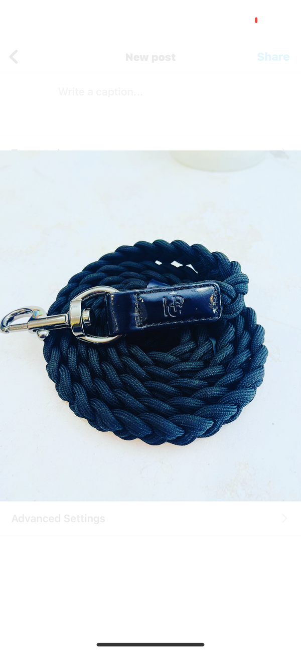 Raven Black Plaited Dog Lead - Gunmetal