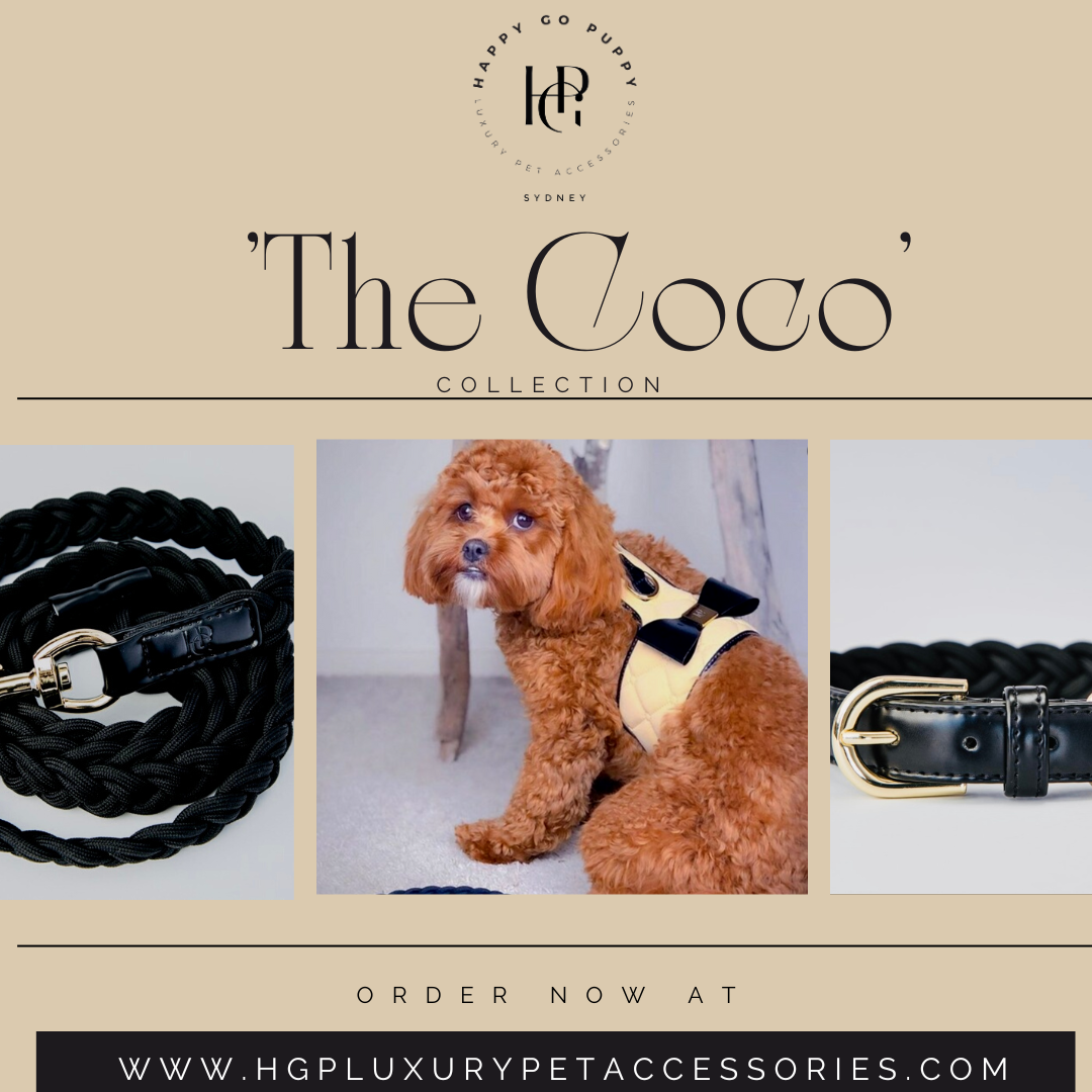 Chanel style collar for cats - Shop pocounpoco Collars & Leashes - Pinkoi