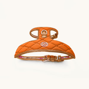 Cinnamon Dog Harness