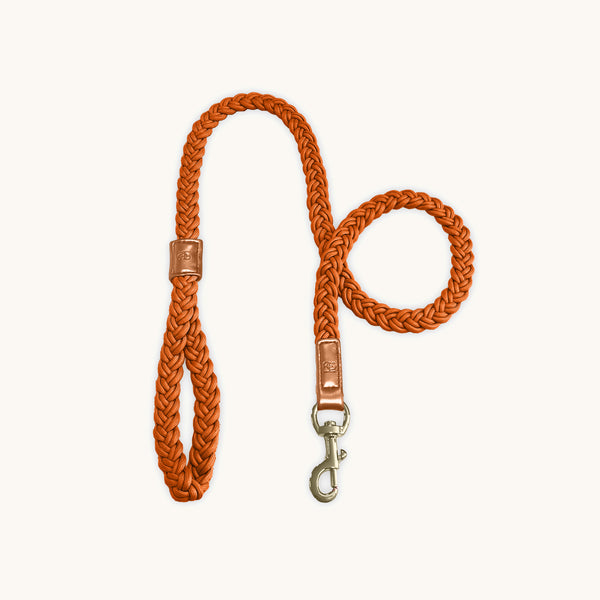 Cinnamon Rust Plaited Dog Lead