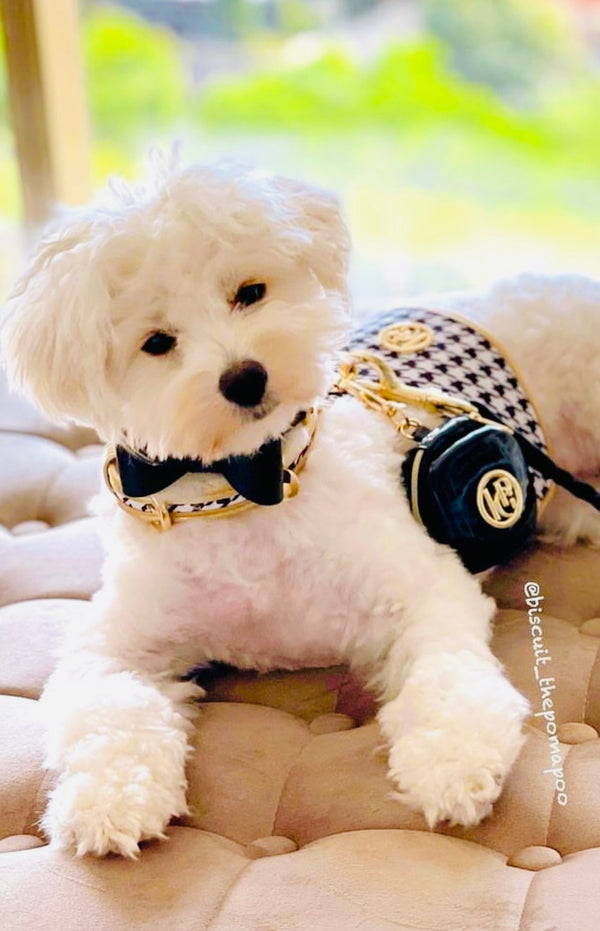 The 'Houndstooth' Dog Harness