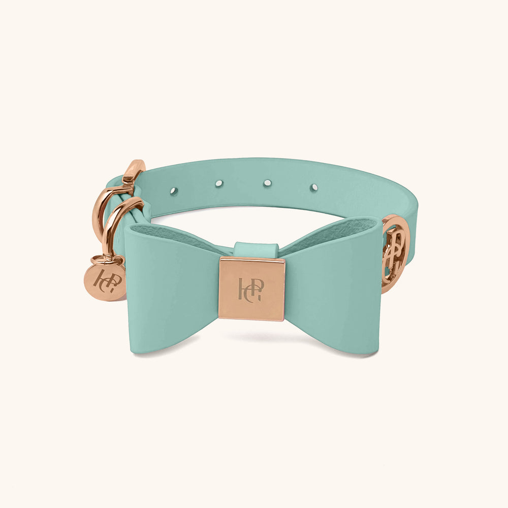 Aquamarine Leather Bow Dog Collar