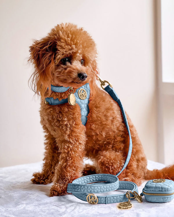 午夜系列宠物狗背带